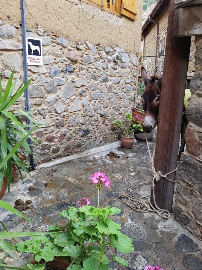 Irene'S House Villa กาโกเปเตรีย ภายนอก รูปภาพ